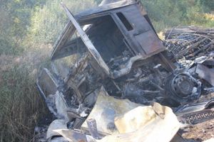 Фото: Псковское агентство информации