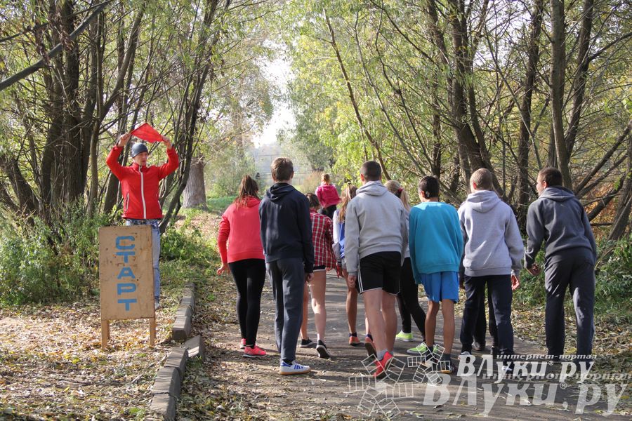 На о. Дятлинка прошел кросс среди обучающихся 8-х классов