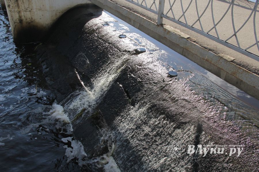 В Великих Луках обнаружили тело мужчины, который утонул 21 августа (ФОТО)