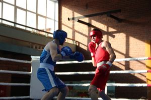 В Великих Луках прошел турнир по боксу памяти Е. Клевцова (ФОТО)