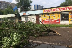 Гроза в Великих Луках не прошла бесследно (ФОТО)