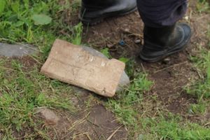 Чемпионат Великих Лук по ловле спиннингом: клевала, но мало (ФОТО)