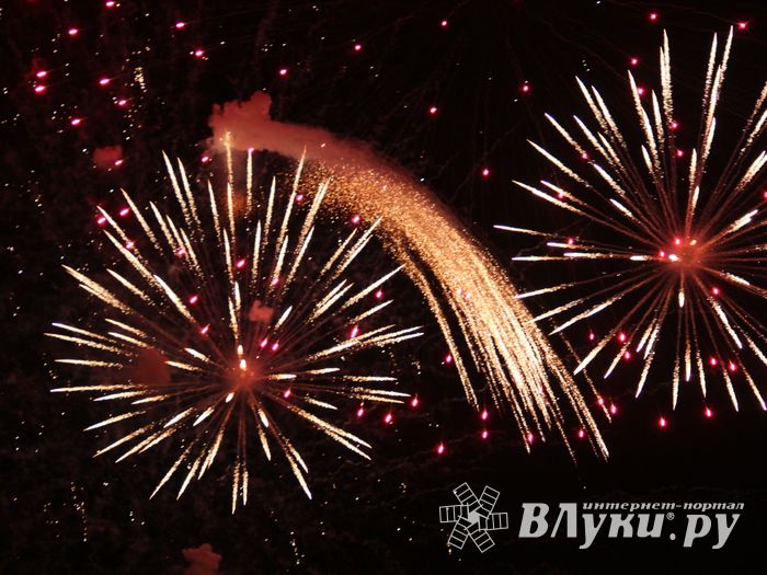 В Великих Луках зажглась новогодная ёлка (ФОТО)