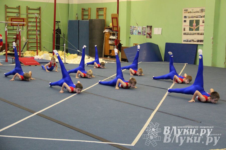 В Великих Луках состоялось Первенство по командной гимнастике (фото)