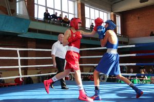 В Великих Луках прошел турнир по боксу памяти Е. Клевцова (ФОТО)