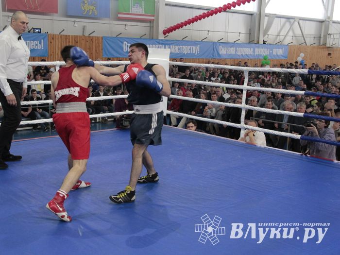 Матчевая встреча по боксу Великие Луки —Псков — Грозный (ФОТО)