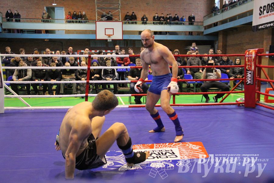 В Великих Луках прошел межрегиональный Открытый Кубок по смешанному боевому единоборству (фото)