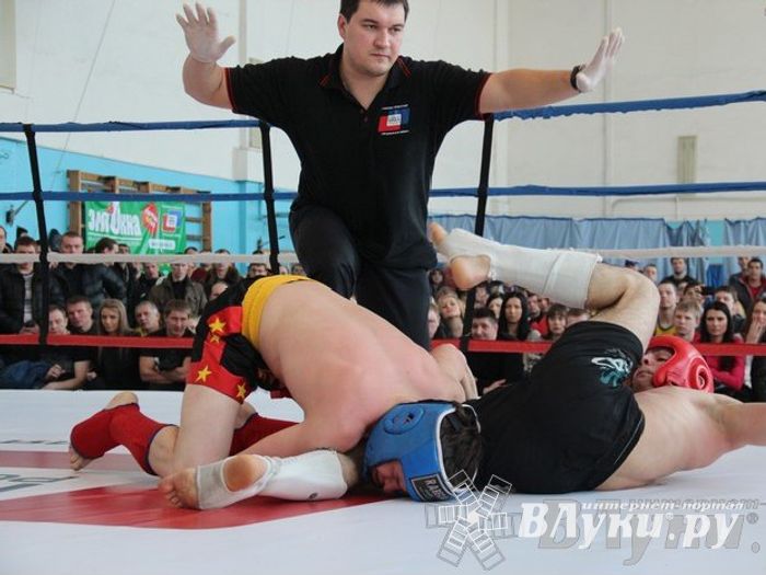 Чемпионат Псковской области по ММА