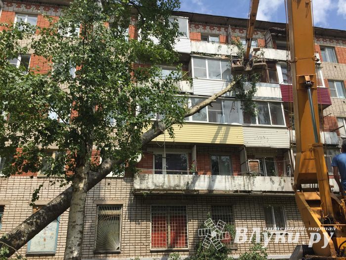 Небезразличные великолучане помогают убрать город после урагана (ФОТО)