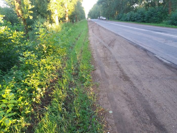 Смертельное ДТП в Великолукском районе (ФОТО)