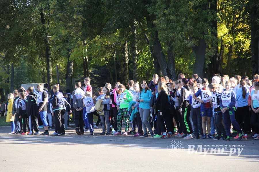 Легкоатлетический осенний кросс прошел в Великих Луках (фоторепортаж)
