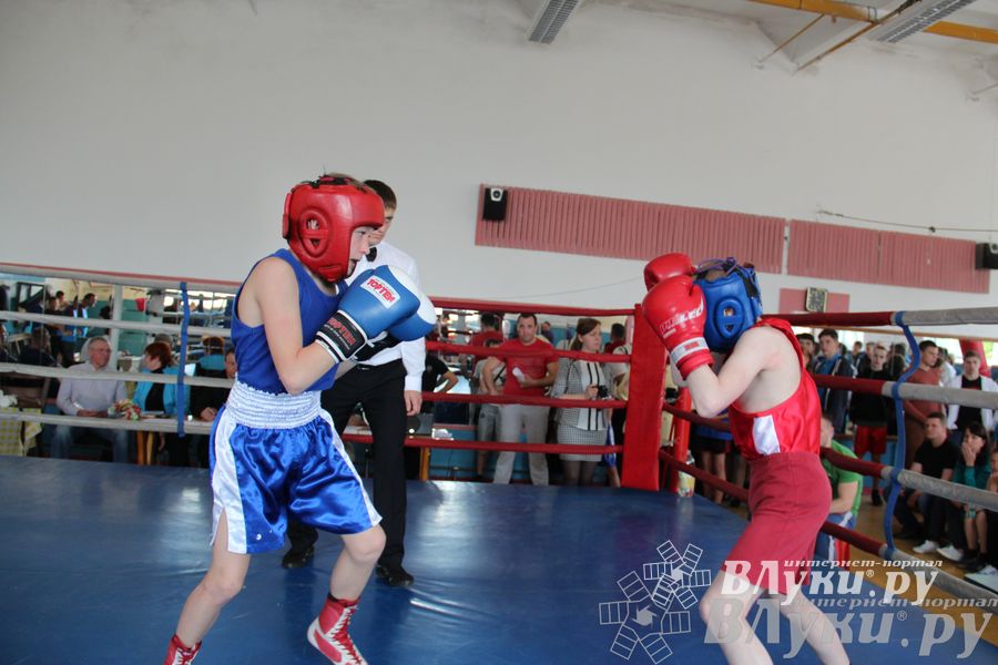 Первенство города по боксу