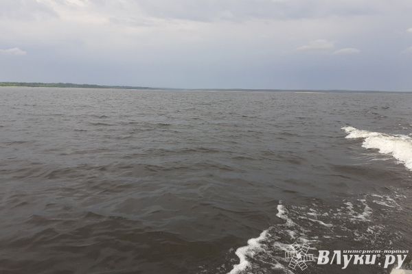 В Великолукском районе утонул мужчина