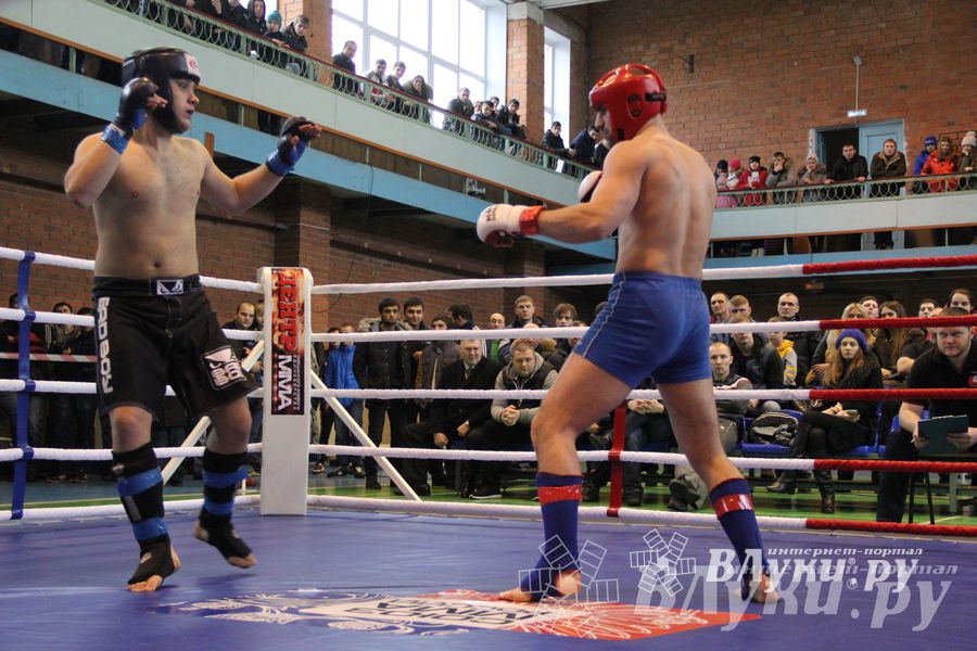 В Великих Луках прошел межрегиональный Открытый Кубок по смешанному боевому единоборству (фото)