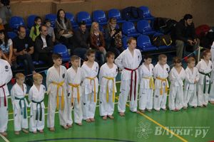 В Великих Луках прошло Первенство по тхэквондо (фото)