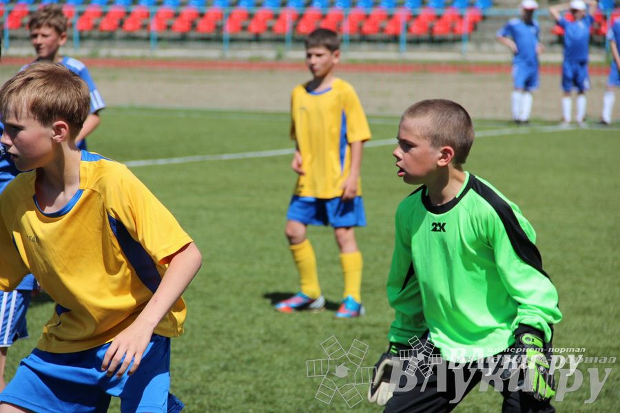 «Локобол-2013» в Великих Луках