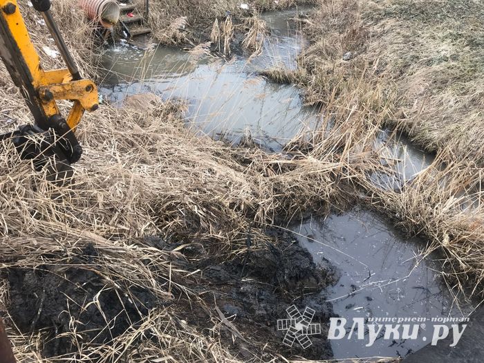 Русло Ситовки очистили от мусора (ФОТО)