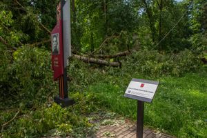 Небезразличные великолучане помогают убрать город после урагана (ФОТО)