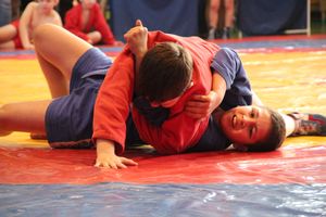 Великолучане завоевали награды турнира по самбо «Память» (ФОТО)