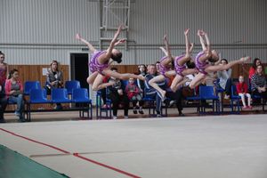 В Великих Луках прошли соревнования по по художественной гимнастике (ФОТО)