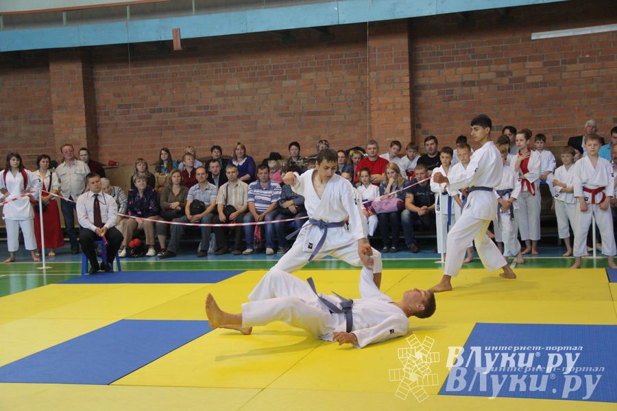 Великолучане стали победителями турнира по каратэ «Неприкосновенный запас, дети — Отчизны 2015» (фото)