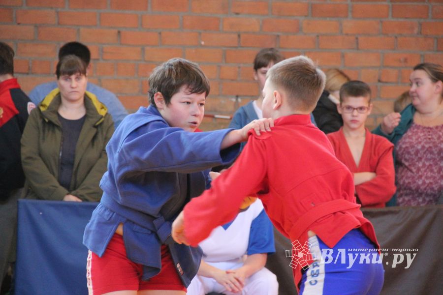 Великолучане завоевали награды турнира по самбо «Память» (ФОТО)