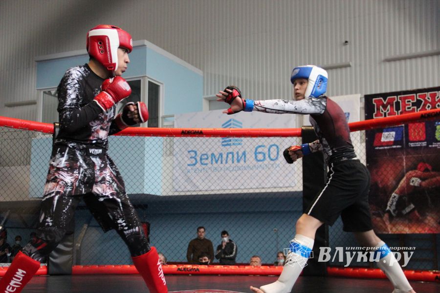 В Великих Луках прошел кубок по смешанному боевому единоборству (ФОТО)