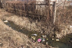 На набережной Лазавицкой угрожающе растёт помойка (ФОТО)