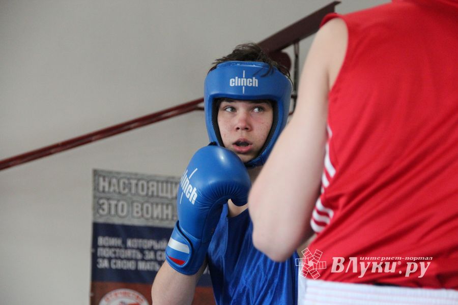 В Великих Луках завершился открытый турнир по боксу (ФОТО)