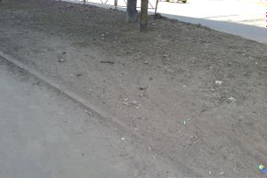 Весне дорогу!