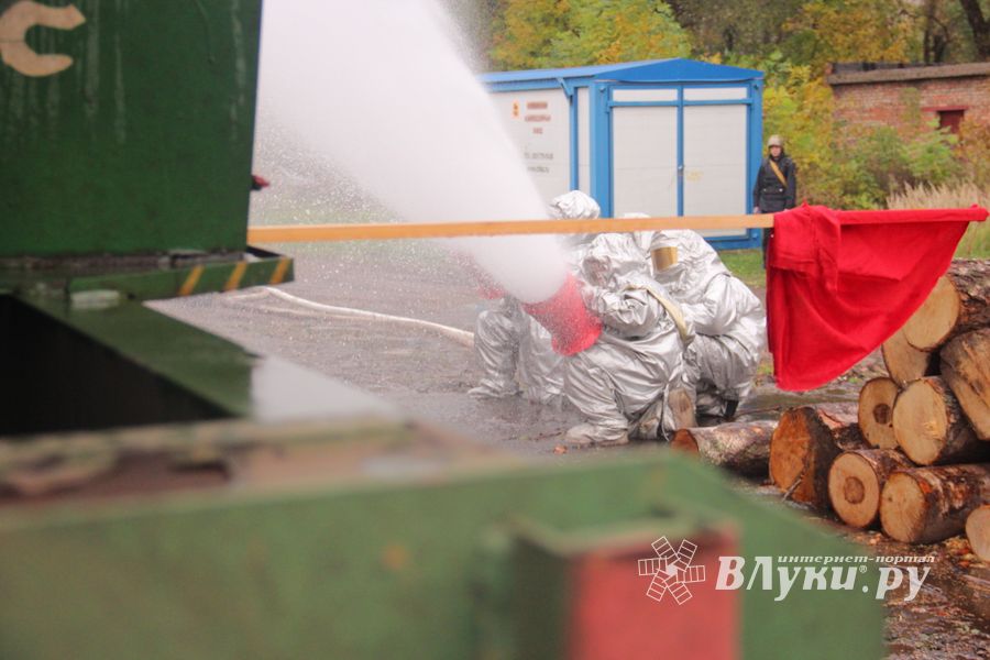 В Великих Луках тушили поезд (ФОТО)