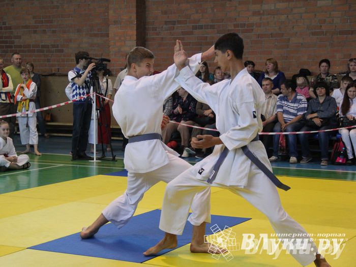 Великолучане стали победителями турнира по каратэ «Неприкосновенный запас, дети — Отчизны 2015» (фото)