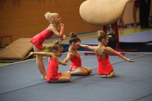 Парад гимнастики