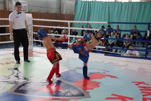 В Великих Луках прошел Кубок области по кикбоксингу (ФОТО)