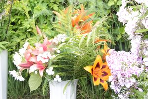 «Парад детских колясок» в День семьи, любви и верности (ФОТО)