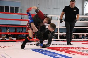 Открытый кубок по смешанному боевому единоборству ММА прошел в Великих Луках (ФОТО)