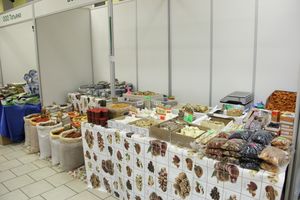 Шестая великолукская универсальная выставка открылась в Великих Луках (фото + видео)