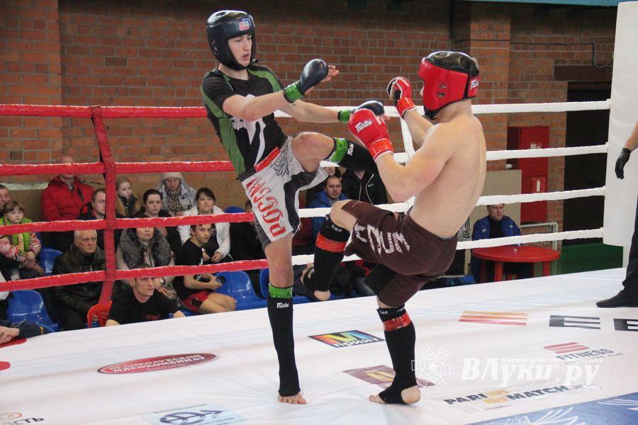 В Великих Луках прошел международный открытый Кубок по смешанному боевому единоборству (ФОТО) (16+)