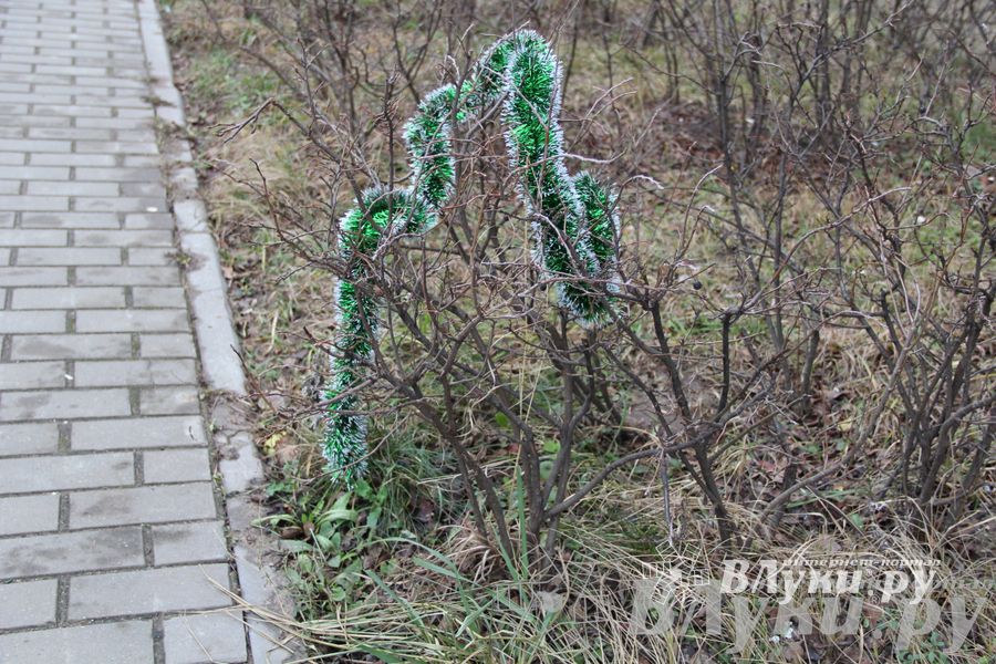 Этот странный январь