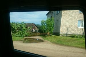 Ураган в Псковской области валил деревья и срывал крыши (ФОТО)
