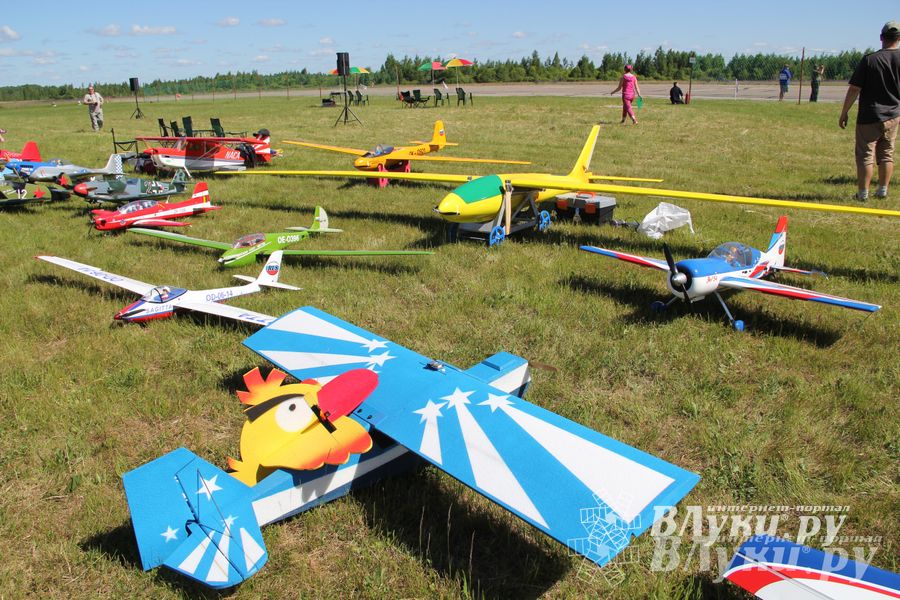 В Великих Луках прошел Фестиваль авиамодельного спорта (фото)