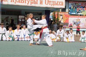 В Великих Луках отметили День физкультурника