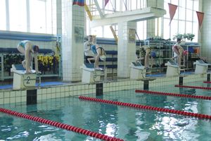 В Великих Луках прошел Чемпионат и Кубок города по плаванию (фото)