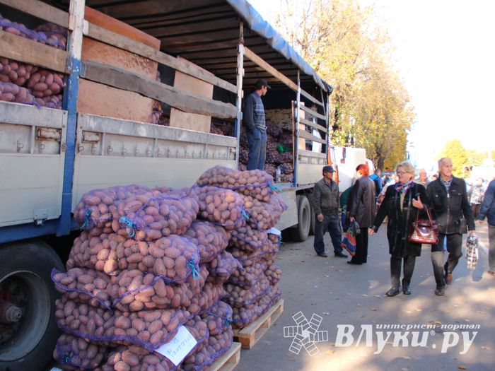 Торговая ярмарка «Осень-2016» прошла в Великих Луках (ФОТО)