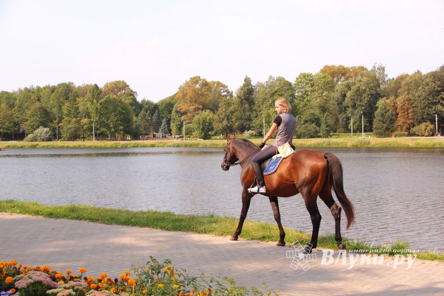 Великие Луки празднуют День города (ФОТО)
