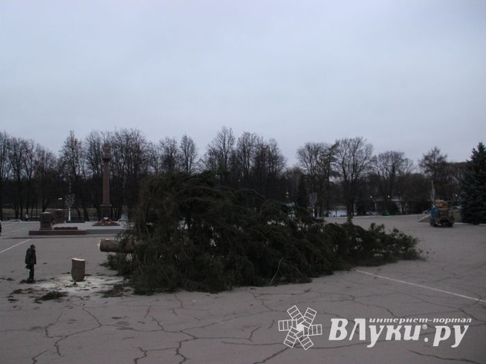 Необычное украшение сняли с главной ёлки Великих Лук (ФОТО)