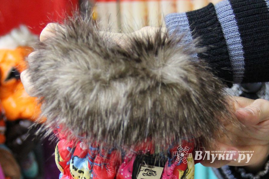 «Zooбастики»: подарите праздник своим любимцам! (ФОТО+ВИДЕО)