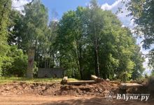 Встревоженных дачников Пореченской волости успокоили (ФОТО)