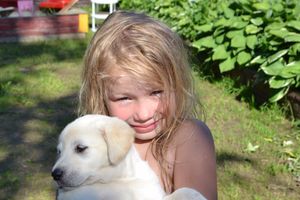 Объявляем победителей фотоконкурса «Косточка к Новому году» (ФОТО)