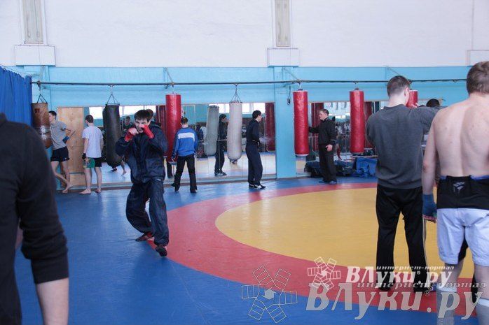 Чемпионат Псковской области по ММА